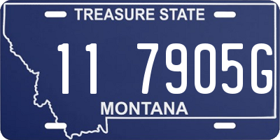 MT license plate 117905G