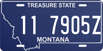 MT license plate 117905Z