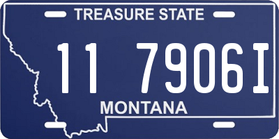 MT license plate 117906I