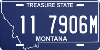 MT license plate 117906M