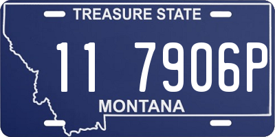 MT license plate 117906P