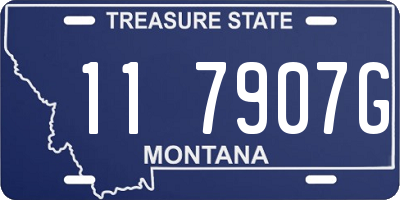 MT license plate 117907G