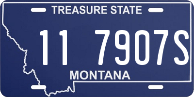 MT license plate 117907S