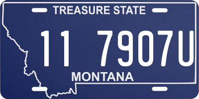 MT license plate 117907U