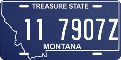 MT license plate 117907Z