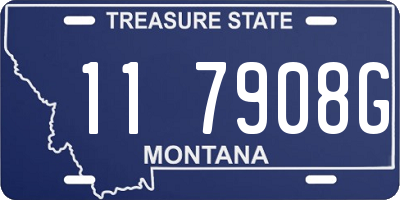 MT license plate 117908G