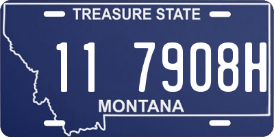 MT license plate 117908H
