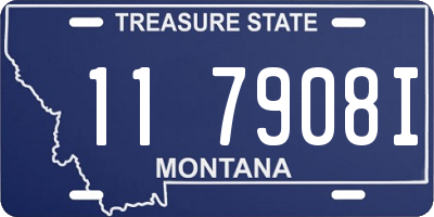 MT license plate 117908I
