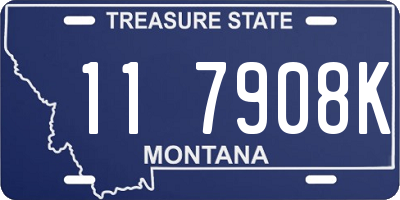 MT license plate 117908K
