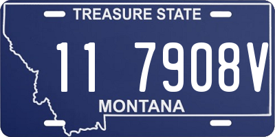 MT license plate 117908V