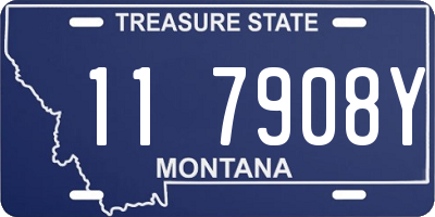 MT license plate 117908Y