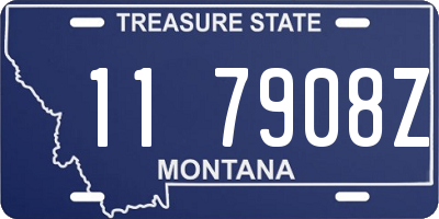 MT license plate 117908Z