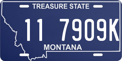 MT license plate 117909K
