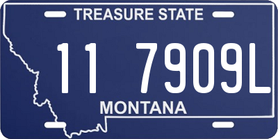 MT license plate 117909L