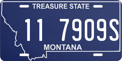 MT license plate 117909S