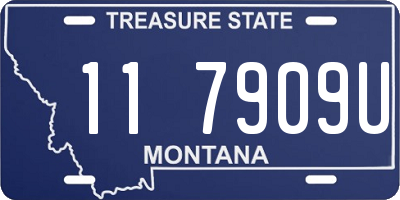 MT license plate 117909U