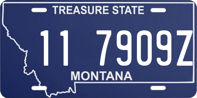 MT license plate 117909Z