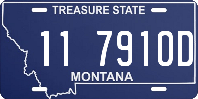 MT license plate 117910D