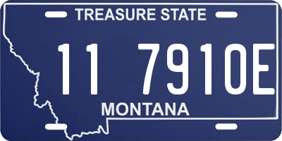 MT license plate 117910E