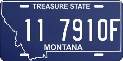 MT license plate 117910F