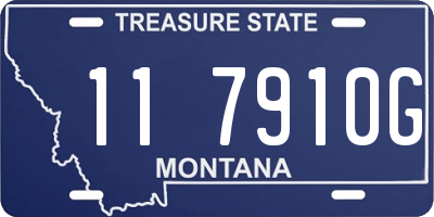 MT license plate 117910G