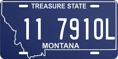 MT license plate 117910L