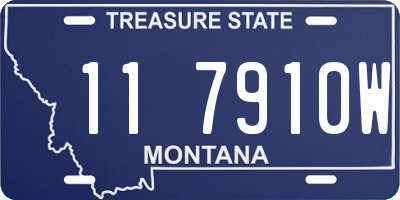 MT license plate 117910W