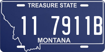 MT license plate 117911B