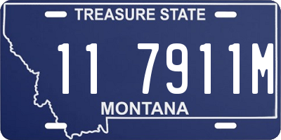 MT license plate 117911M