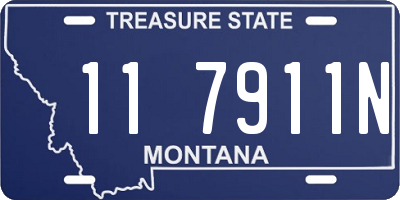 MT license plate 117911N