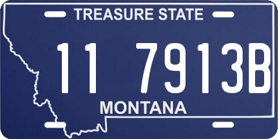 MT license plate 117913B