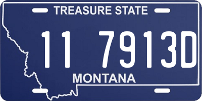 MT license plate 117913D