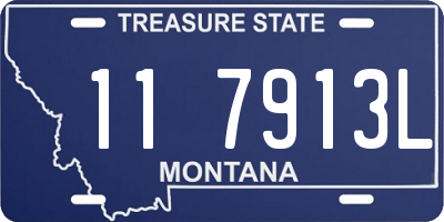 MT license plate 117913L