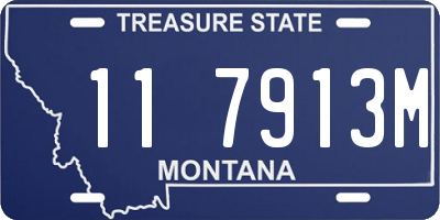 MT license plate 117913M