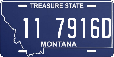 MT license plate 117916D