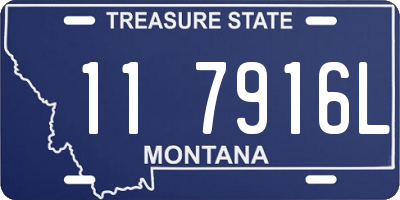 MT license plate 117916L