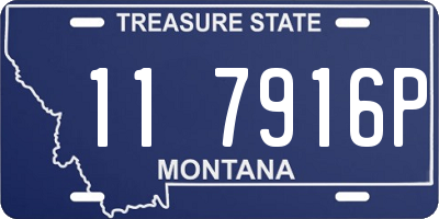 MT license plate 117916P