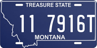 MT license plate 117916T