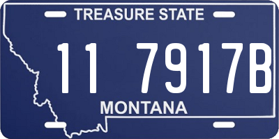 MT license plate 117917B
