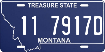 MT license plate 117917D