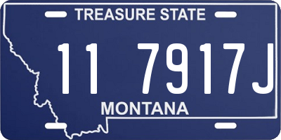 MT license plate 117917J