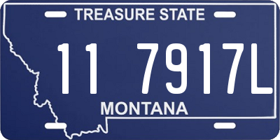 MT license plate 117917L