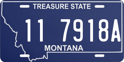 MT license plate 117918A