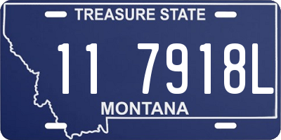 MT license plate 117918L