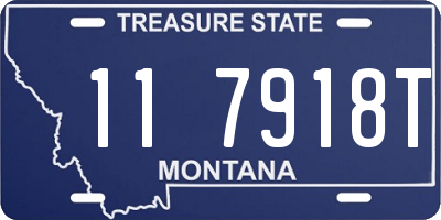 MT license plate 117918T
