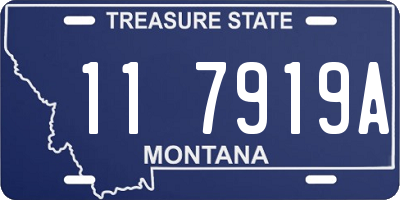 MT license plate 117919A