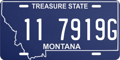 MT license plate 117919G