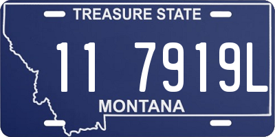 MT license plate 117919L