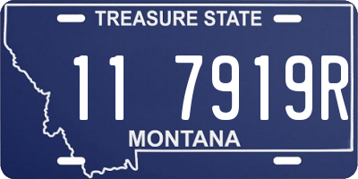 MT license plate 117919R