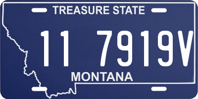 MT license plate 117919V